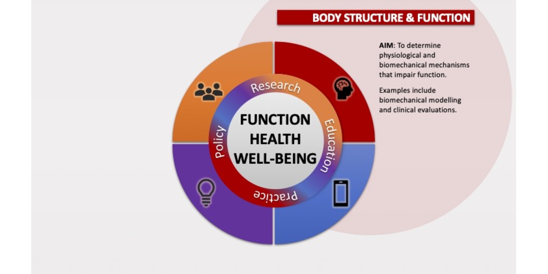 Graphic describing the aim of the Assessing Body Structure & Function research platform