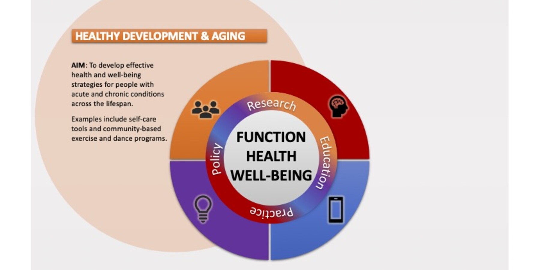 Graphic describing the aim of the Healthy Development & Aging research platform