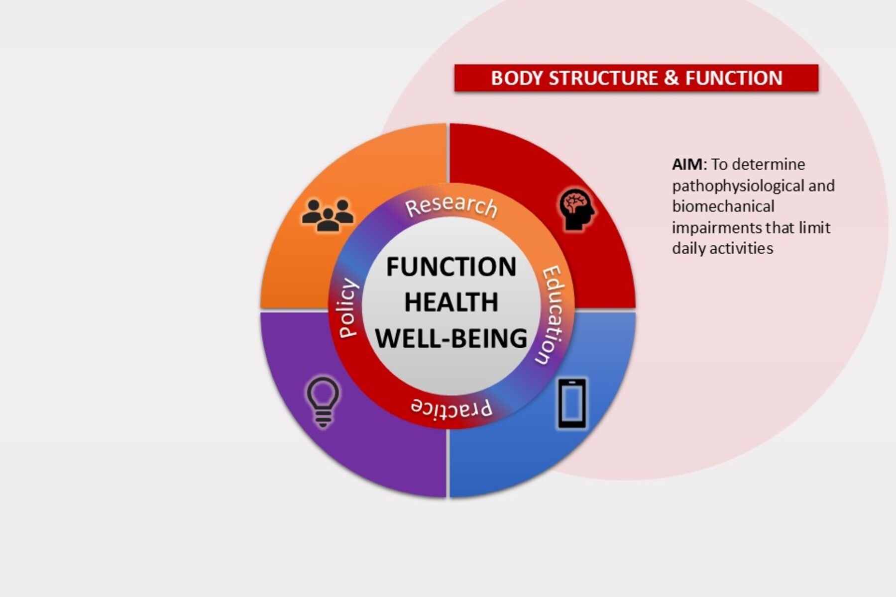 Graphic describing the aim of the Assessing Body Structure & Function research platform