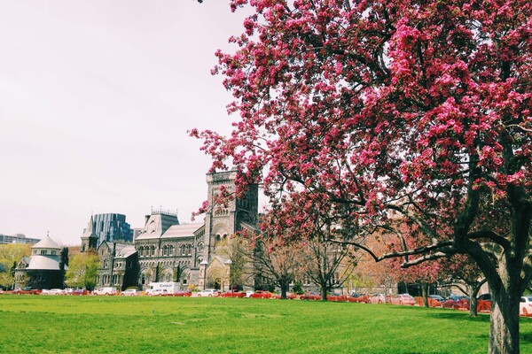 View of University College